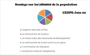 48,79 % pensent que le Tchad est sur le bon chemin menant à la paix contre 40,33 %  (sondage au Tchad)