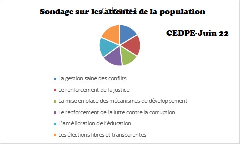 48,79 % pensent que le Tchad est sur le bon chemin menant à la paix contre 40,33 %  (sondage au Tchad)